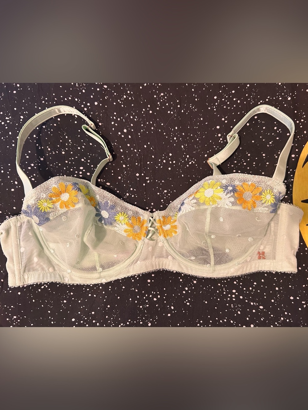 Savage X Fenty Light Green Sheer Floral Embroidered Underwire Bra